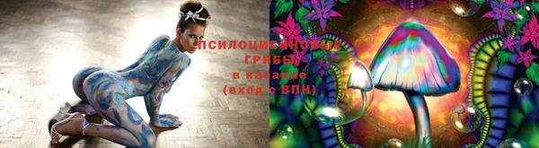 герыч Алексин