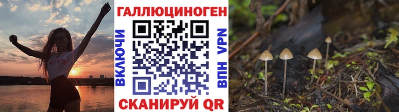 Галлюциногенные грибы мицелий купить цена Калтан
